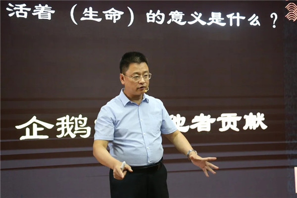 640.webp (8)_副本.jpg